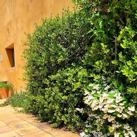 Masia Grupos Con Piscina Privada-28 Pax * Gerona