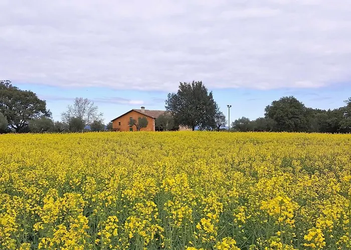 Masia Grupos Con Piscina Privada-28 Pax Lodge *