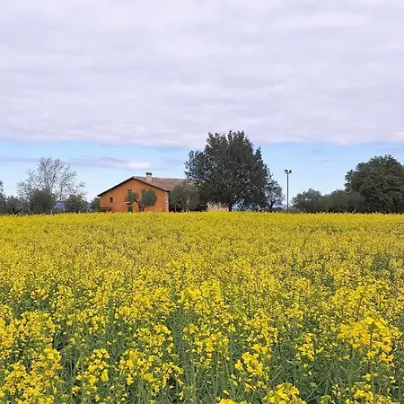 Masia Grupos Con Piscina Privada-28 Pax Lodge *